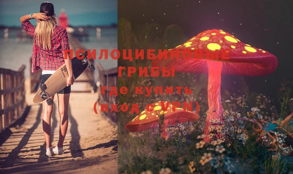 молекула духа Аркадак
