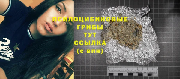 молекула духа Аркадак