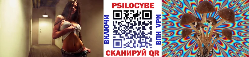 Псилоцибиновые грибы GOLDEN TEACHER  Светлогорск 